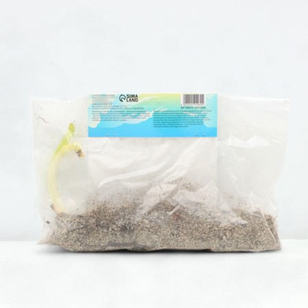 Lilenik "Purisima", rr I, 1 pc, spring 2024-1