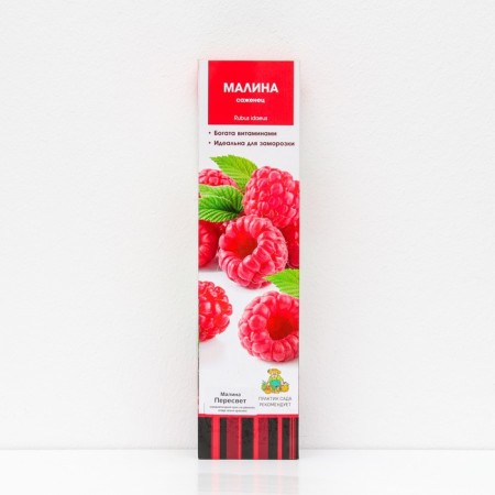 Raspberry traditional varieties "Peresvet", 1 pc, tube, spring 2025