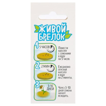 Set for experiences of live keychain-2