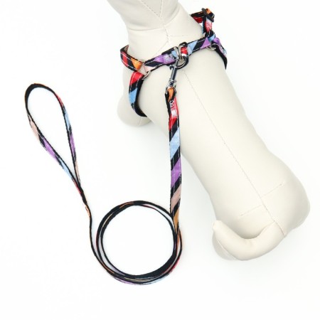 The ammunition set is two-layer, size S, leash 120 x 1 cm, Osh 24-38 cm, OG 29-41 cm, multi-colored-2