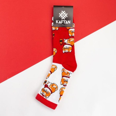 New Year. New Year's socks KAFTAN "CAT" Size 41-44 (27-29 cm), Red color-2