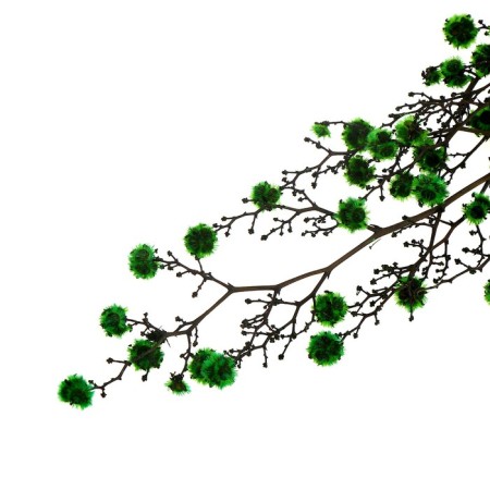 Dry flowers “Molokhay Mile”, 25 g, length - 70 cm, green color-4