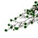 Dry flowers “Molokhay Mile”, 25 g, length - 70 cm, green color
