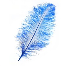Feather for decor, length: from 45 to 60 cm, blue color