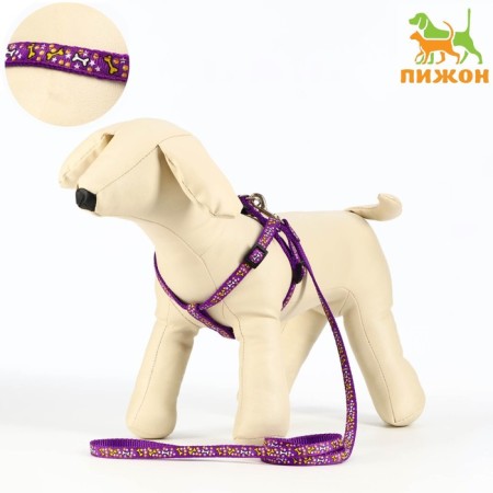 Set "Star Bones", leash 120 x 1 cm, fire 23-35 cm, purple