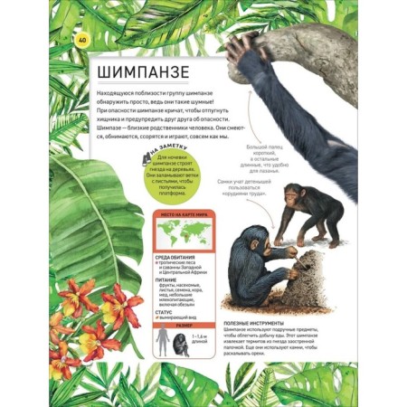 Encyclopedia "Amazing Animals"-6