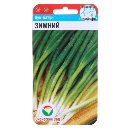 Onions are onion "Batun" winter, 1 g