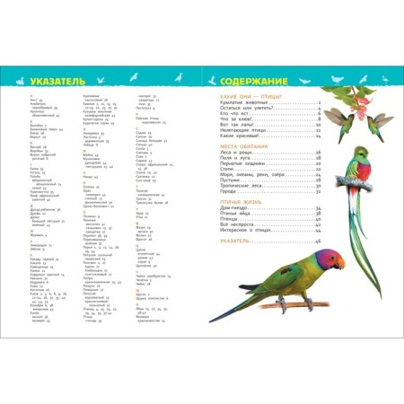 Encyclopedia for the kindergarten "Birds", Galtseva S. N.-3