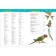 Encyclopedia for the kindergarten "Birds", Galtseva S. N.