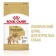 Dry food RC Pomeranian for Pomeranian Spitz, 1.5 kg