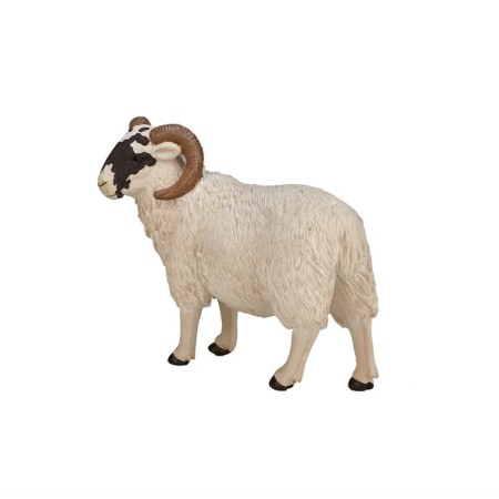 Figure Konik "Scottish black -headed ram"-4