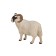 Figure Konik "Scottish black -headed ram"