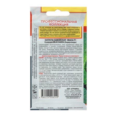 Savoy cabbage "Ovasa", F1, 10 pcs-1