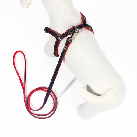 Kit "jeans", leash 120 x 1 cm, og 25-40 cm, red-1