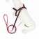 Kit "jeans", leash 120 x 1 cm, og 25-40 cm, red