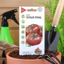 Black Prince Tomat seeds, mid -season, 0.05 g series Hit X3