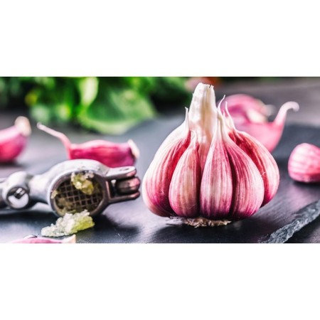 Garlic Winter Lyubasha 50+, mesh 1 kg-1