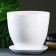 Pot Flower Tulip White 5l with a stand