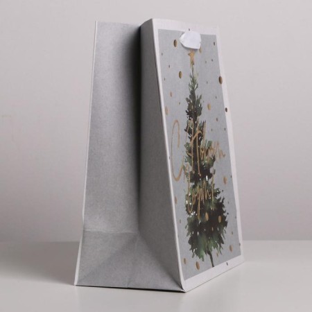 Craft vertical package "Fairytale", MS 18 x 23 x 10 cm, New Year-3
