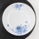 The plate of the lunch share "Blue breeze", d = 25 cm, glass ceramic, white color