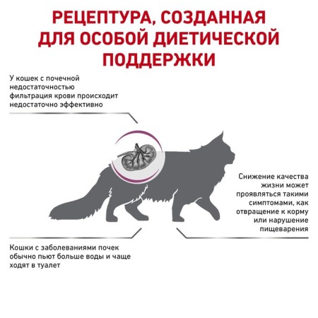 Dry food RC Renal for cats, 400 g-1