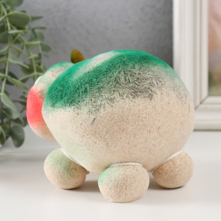 Growing gift Eco -Zhizhivchik "Turtle" in gift package mix-2