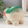 Growing gift Eco -Zhizhivchik "Turtle" in gift package mix