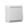 Luazon Lighting "League" switch, 10 A, 1 key, invoice, white