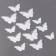 Set for decorating "Butterflies", set 12 pcs, white color