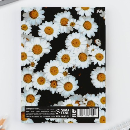 Diary A6, 64 liters. "Kitty"-4