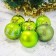 Set of balls plastic D-8 cm, 6 pcs "Christmas trees" green