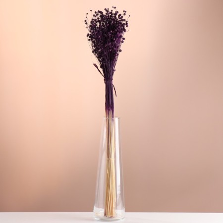 Set of dried flowers "Lenon-long", banch length 55-60 (+/- 6 cm), plum