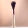 Set of dried flowers "Lenon-long", banch length 55-60 (+/- 6 cm), plum