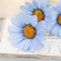 Artificial flowers "Arctothis" D-3.5 cm 35 cm, blue