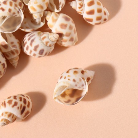 Treasurous decorative "Babilonia"-2