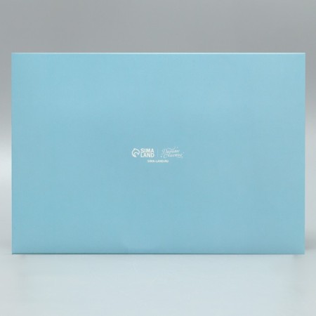 Folding Capcake box with bilateral application of “Dreams will come true”, 25 x 17 x 10 cm, New Year-4