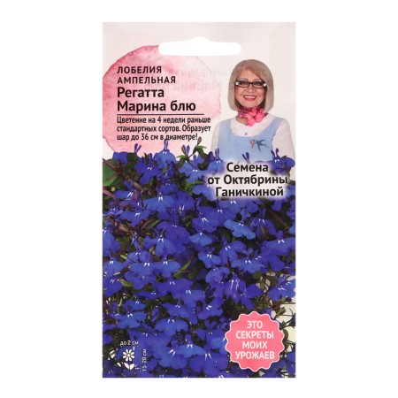 Lobelia flowers "Regatta Marina Blue", 10 pcs