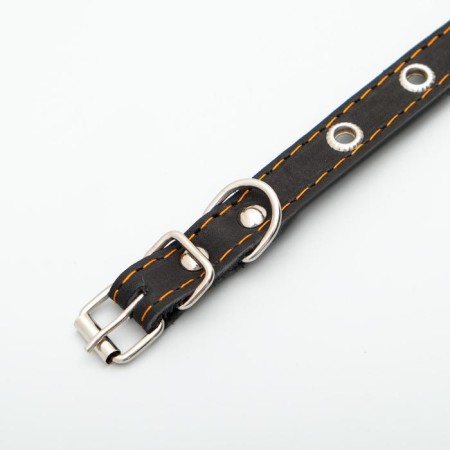 Single-layer leather collar with corrugated eyelets, dimensionless, 40 x 1.5 cm, Osh 27-35 cm, black 7-3