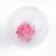 Ball for cats with a pomp, 4 cm, packing in a jar of 25 pcs, mix