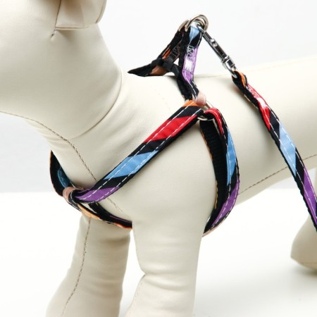 The ammunition set is two-layer, size S, leash 120 x 1 cm, Osh 24-38 cm, OG 29-41 cm, multi-colored-1