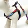 The ammunition set is two-layer, size S, leash 120 x 1 cm, Osh 24-38 cm, OG 29-41 cm, multi-colored