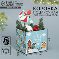 Box for mini-boots 