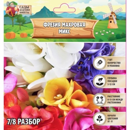 Freesia Terry Mix, rr 7/8, 7 pcs, autumn 2024