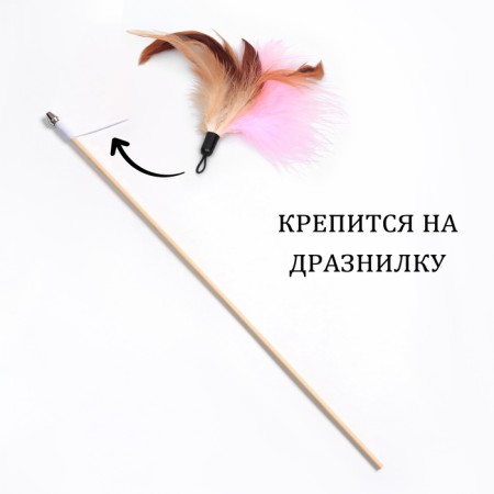 Игрушка-дразнилка для кошек "Пёрышки", микс цветов-1