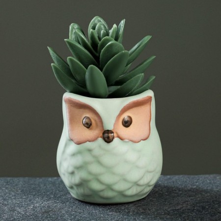 Pot "Owl Ava" 6x6x6.5cm, mix-10