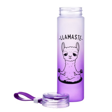 Water bottle, 460 ml, llamaste-1