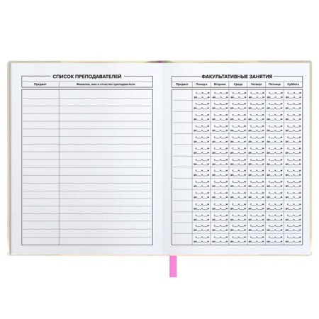 School diary for grades 1-11 "Candy Cat", soft cover, PVC, foil embossing, removable cover, 48 sheets, offset block 80g/m2, universal cheat sheet-4