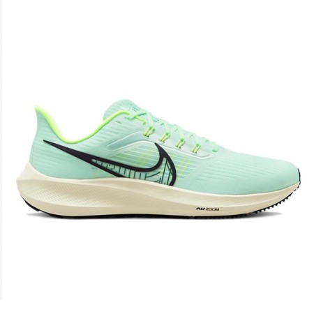 Cunning male Nike Air Zoom Pegasus 39 DH4071 301, size 10 US