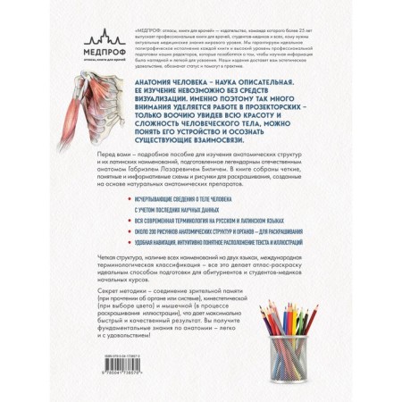 Anatomy. Russian-Latin atlas coloring. Bilich G.L., Zigalova E.Yu.-1