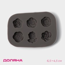 Mold Dolyana 